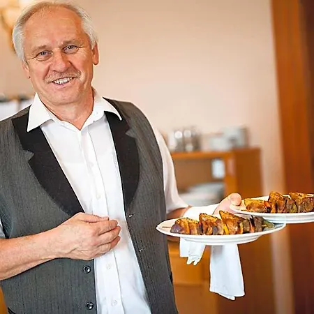 Hotel Wellness Zamecek *