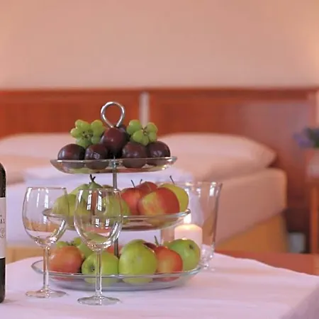Hotel Wellness Zamecek *