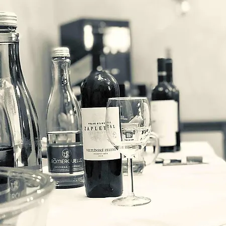 Wellness Zamecek Hotel