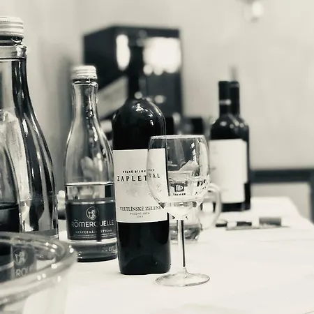 Hotel Wellness Zamecek