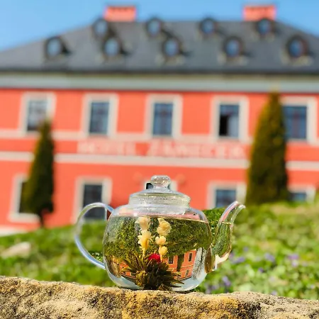 Wellness Zámeček Hotel *